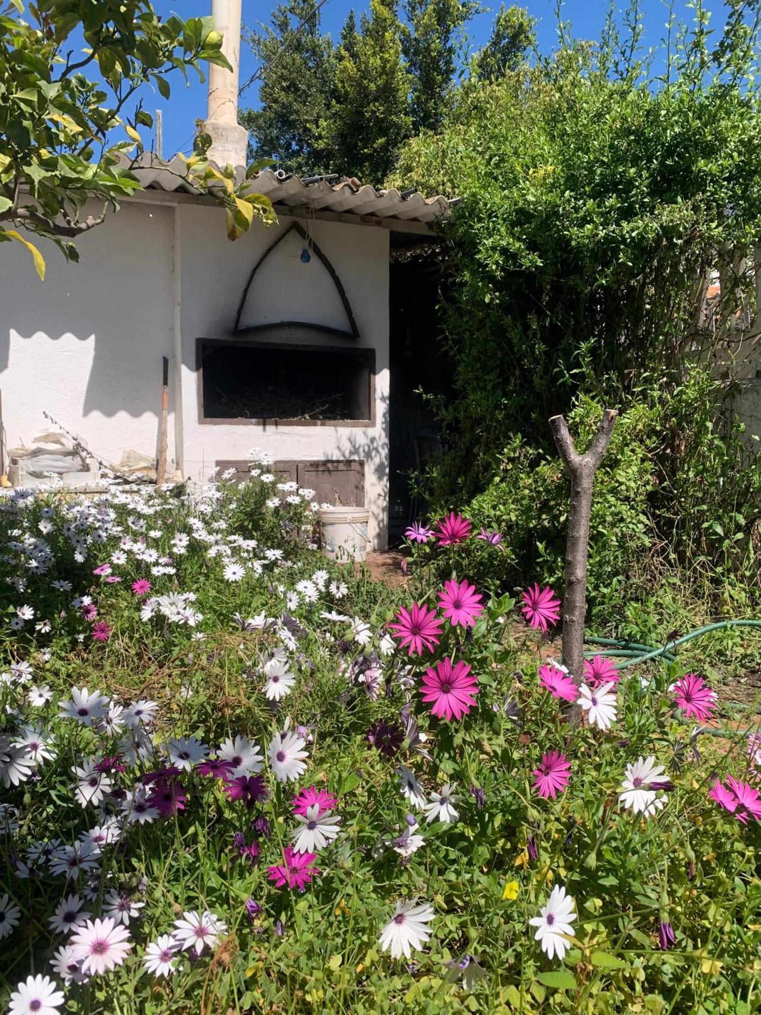 Casa Tranquilla A Pochissimi Passi Dal Mare Villa Sant'Andrea  Exterior photo